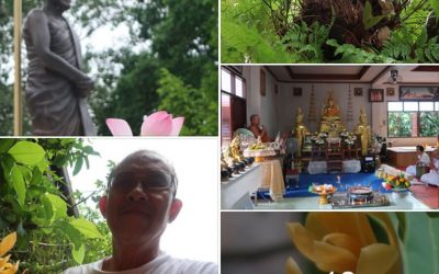 กิจพระศาสนาที่ศรีทวี จะยิ่งทบทวี (๒๙ มิ.ย. ๒๕๖๓) More Buddhist Activities of SriTawee (Jun 29, 2020)